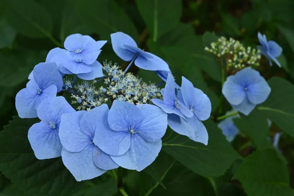 尼康z16-50和z28镜头对比,尼康zdx16-50