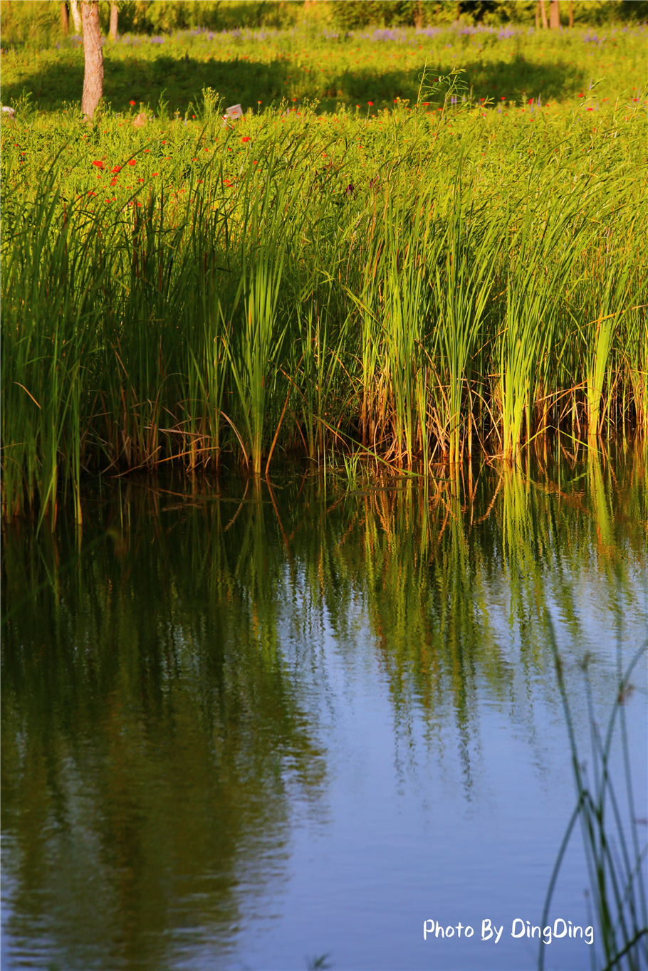 避暑就去这些山水古镇,长白山二道白河镇游玩地图