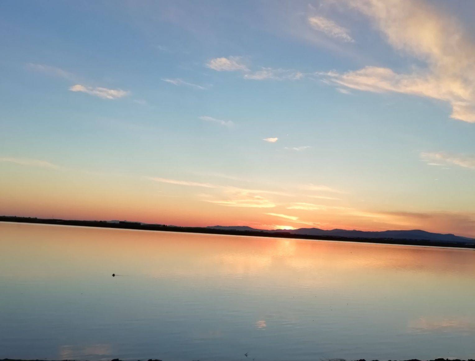 文心的诗,文心的诗词