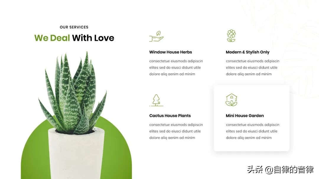 只要加些植物元素，你的PPT页面精致又有格调