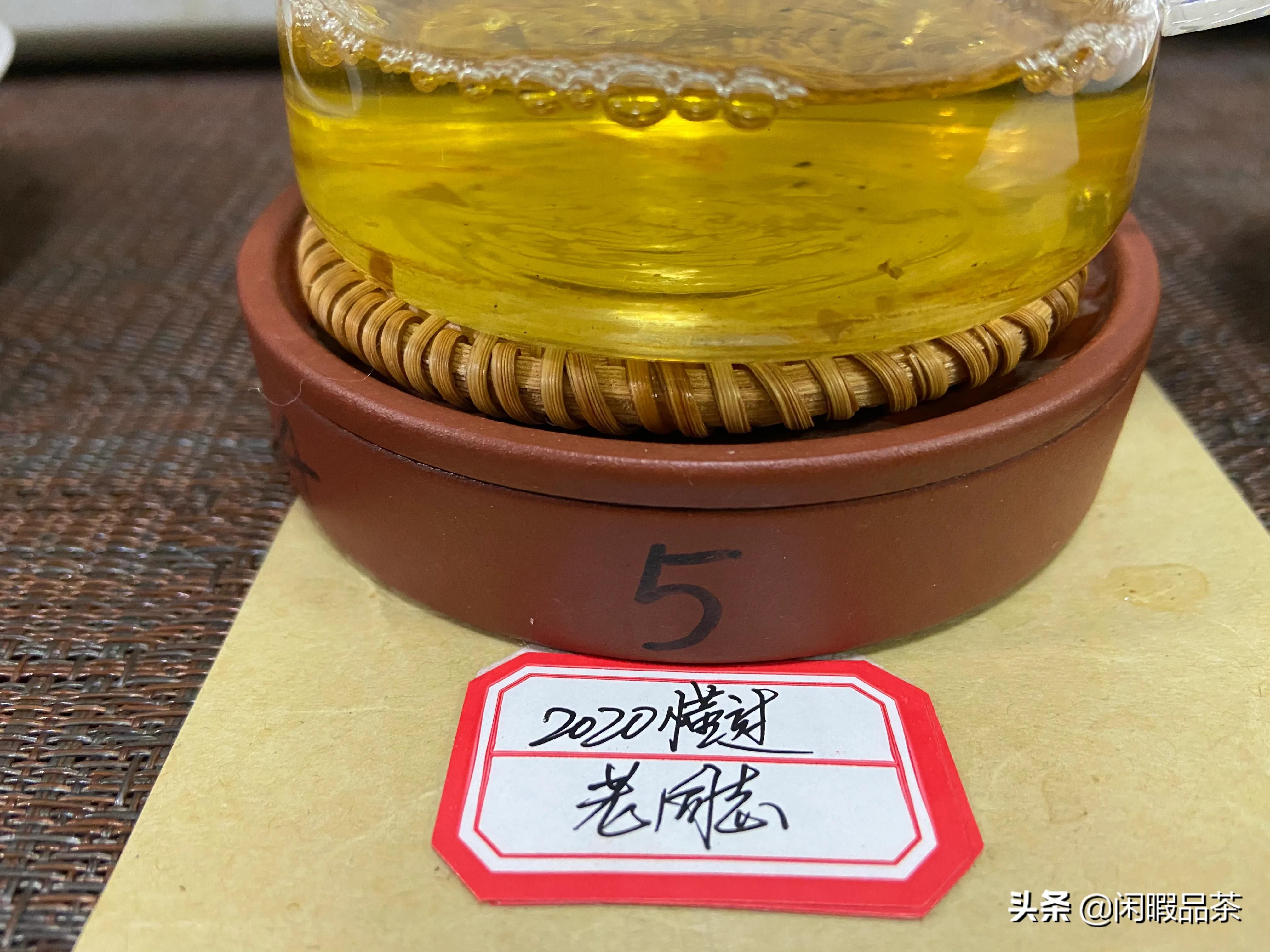 [闲暇品茶]第21-04期2020老同志懂过生普（中山起湾）