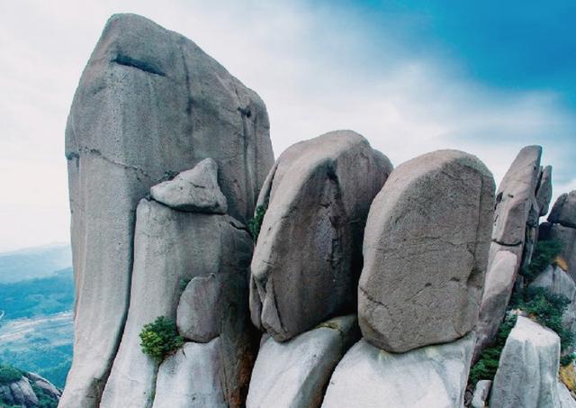 福鼎旅游数据,福鼎纪录片