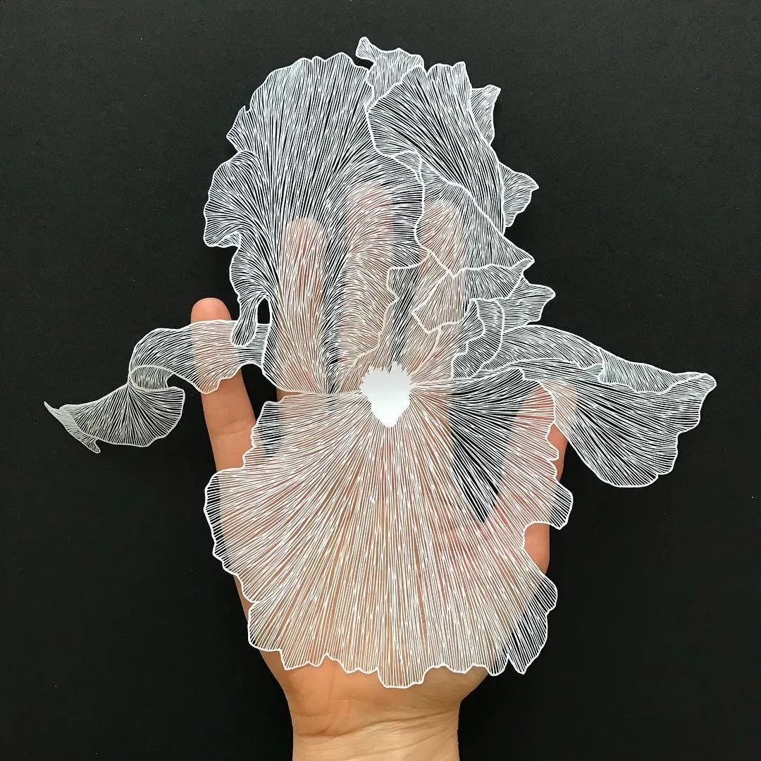 她用一把手术刀在2毛钱废报纸上雕出精美图腾,一幅卖60万