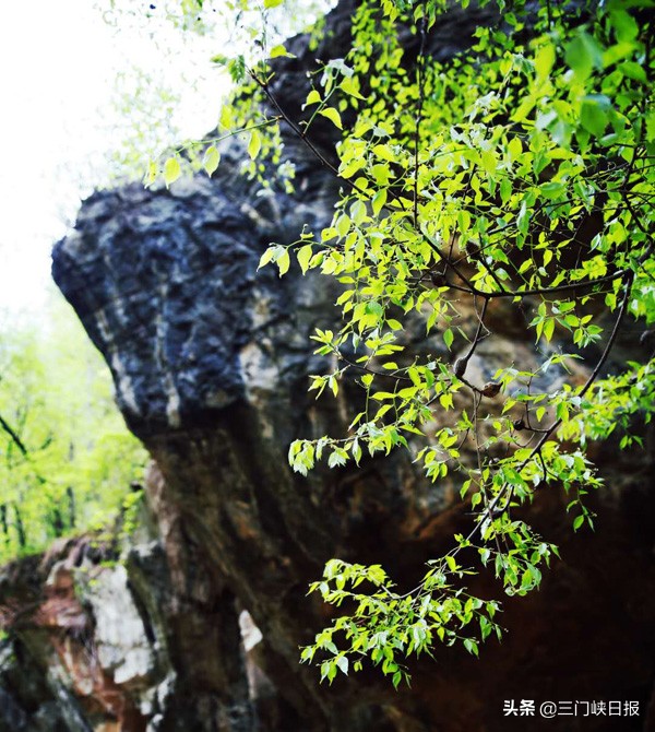 三门峡甘山国家森林公园最新消息,三门峡五一甘山国家森林公园