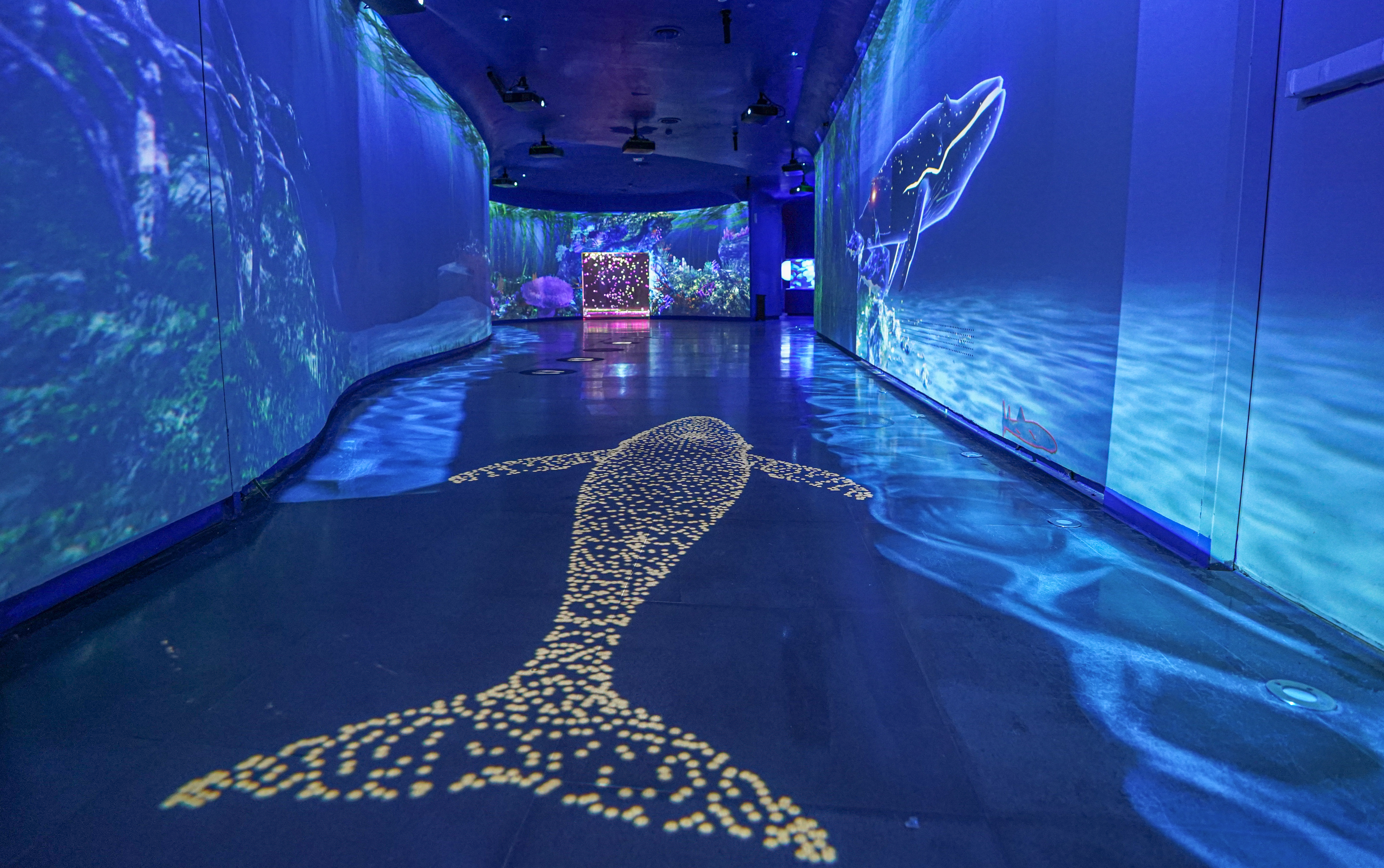 五一旅游必看的10个项目,五一期间有十大景区最受欢迎