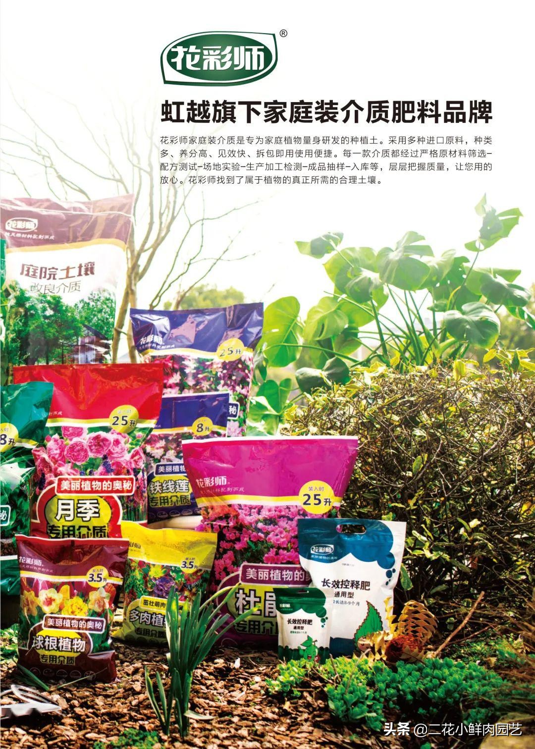 鍥壓鑺卞崏绉嶆鐭ヨ瘑鍏ラ棬,鑺卞崏鍥壓濡備綍鍏ラ棬