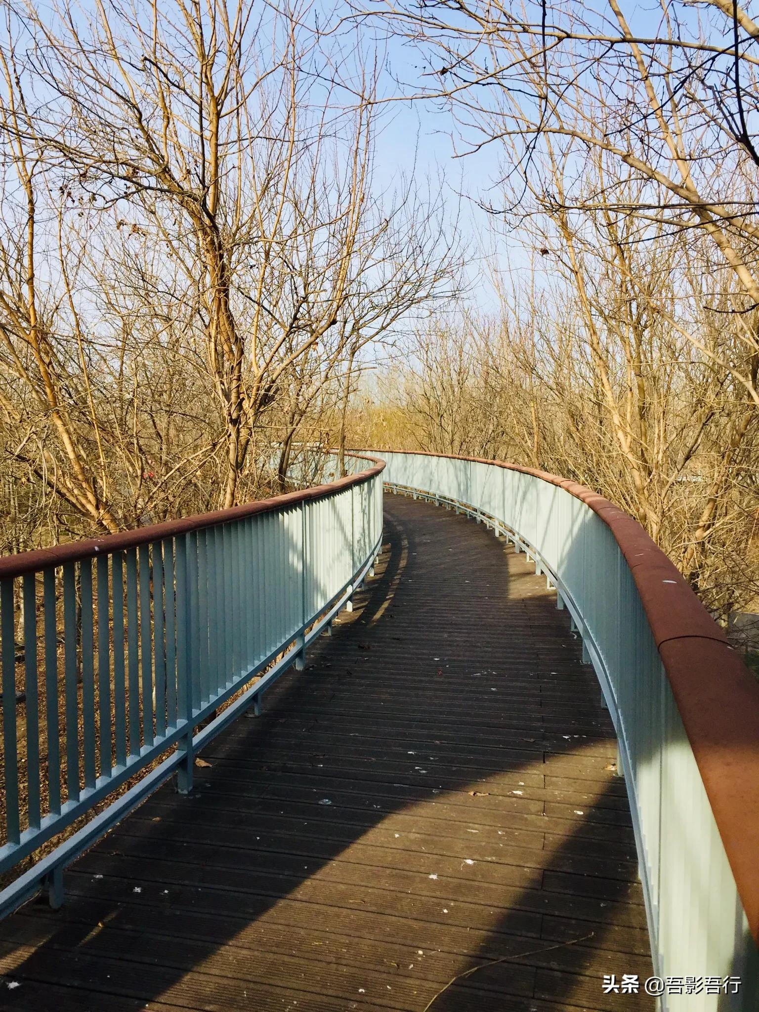 武清津北森林公园有哪些景色,天津武清森林公园开放时间表