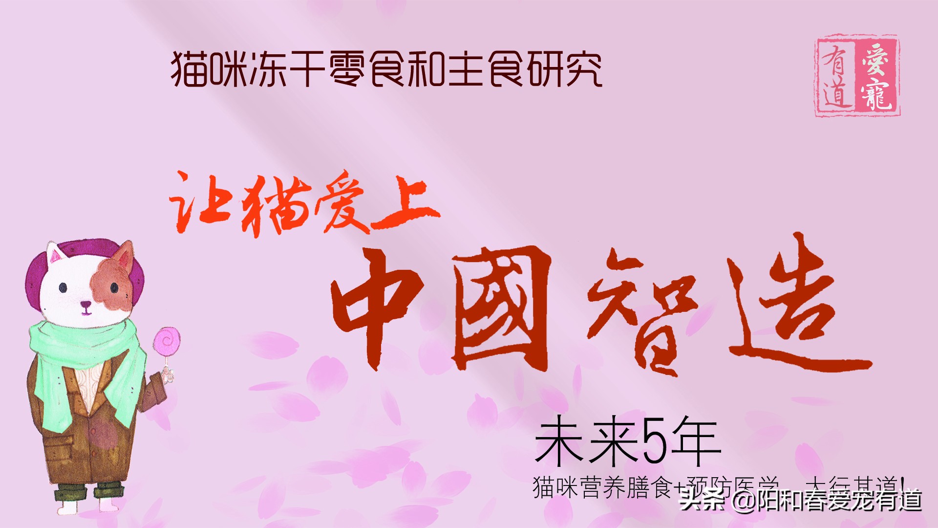 爱猫老奴说:如何选择选择猫咪冻干零食和全价猫粮