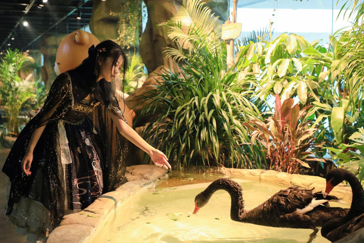 bobozoo室内动物园,bobozoo室内动物园有河马吗