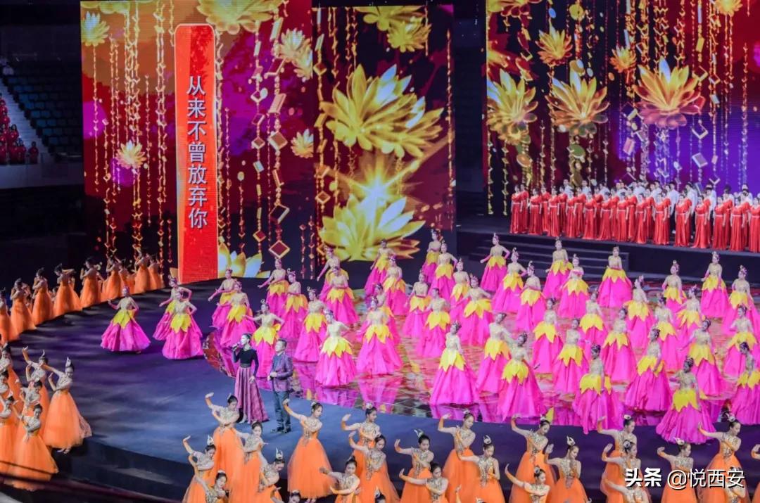 庆祝第十四届全运会圆满结束,第十四届全运会男子100米决赛