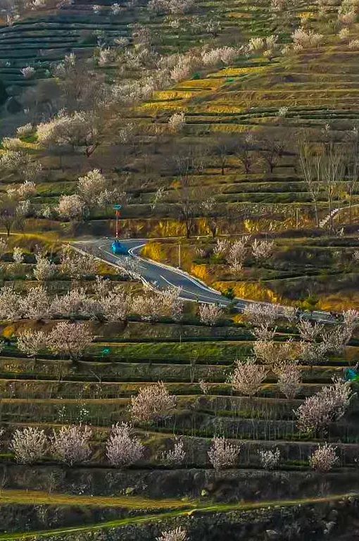 日照最美桃源,寻找最美春天日照惊艳全城