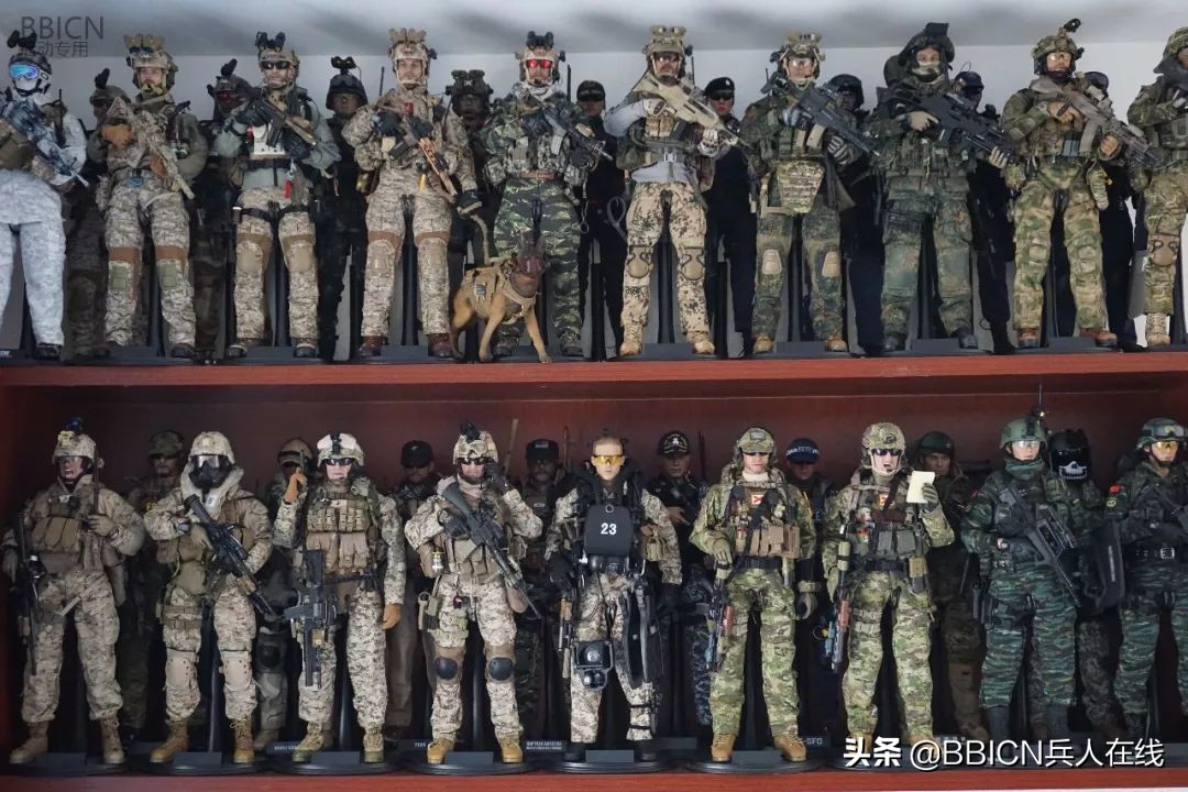 致敬人民子弟兵主题党日活动,致敬人民解放军的内容