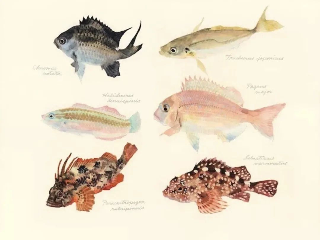 自然科学实验与创新课题,生态课题研究方案