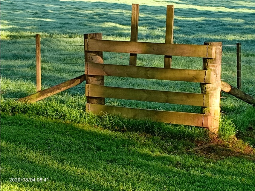 一树山,我的精神家园