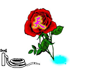 今日芒种愿所有付出都有收获,芒种种下祝福和希望