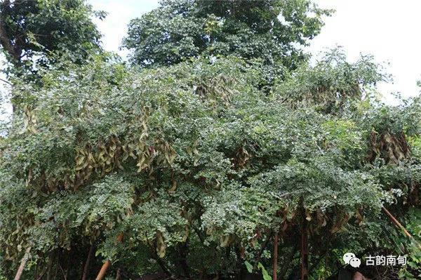 姊佹渤鐗硅壊缇庨,姊佹渤鐗硅壊缇庨鎺ㄨ崘