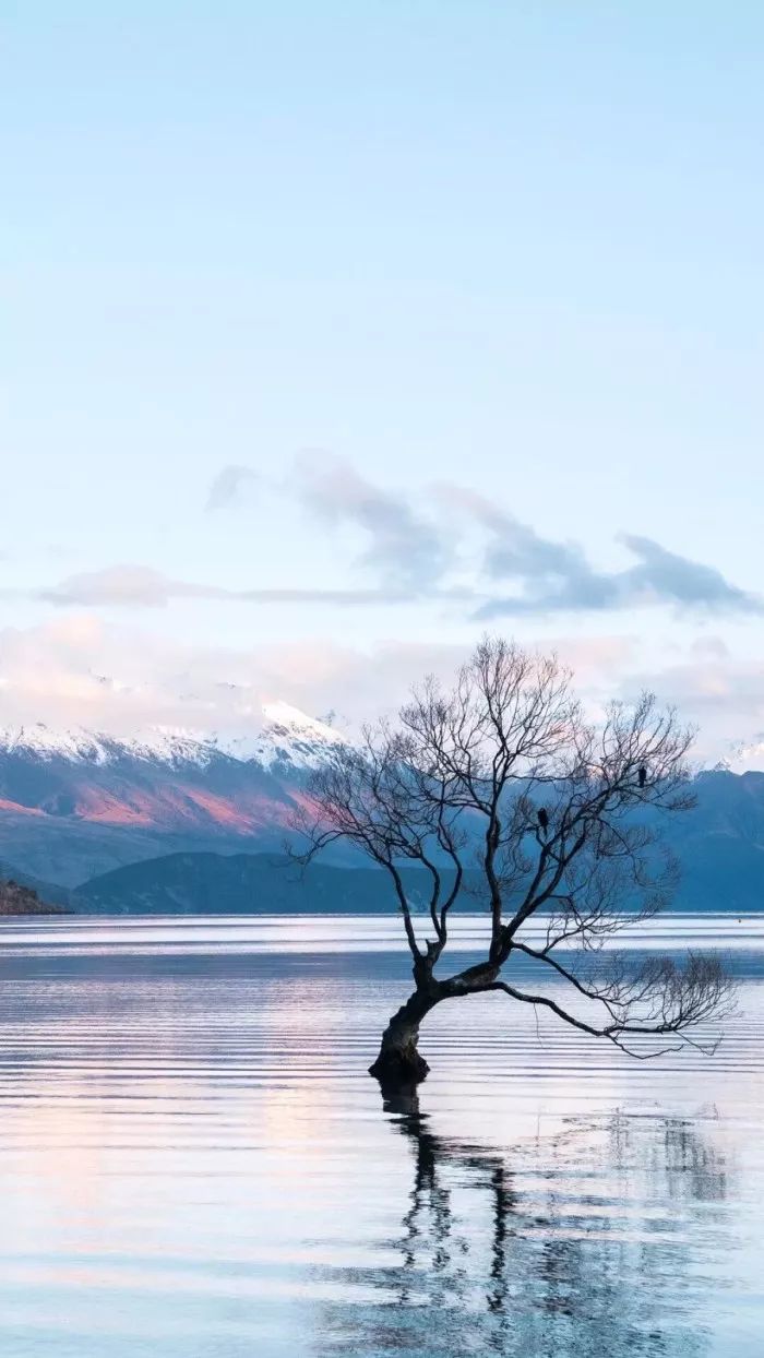 好想一起在这个古镇共度余生,我想和你去大草原的湖边是什么歌