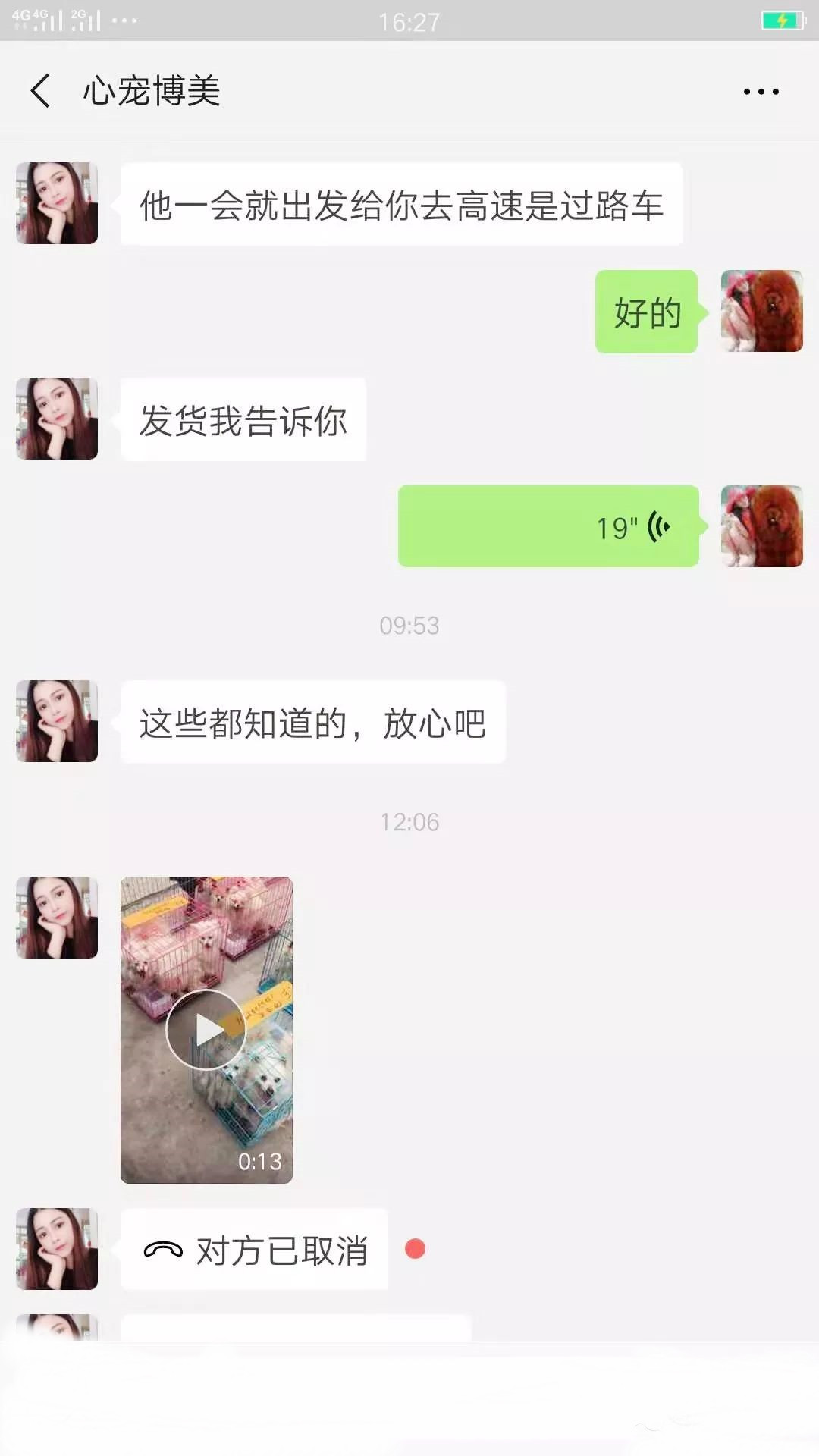 微信朋友圈买宠物被骗,朋友圈卖宠物狗骗局