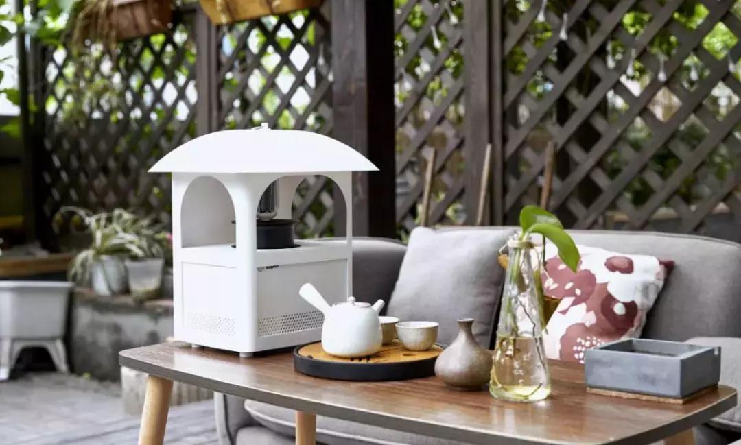 新时代青年创业,当代青年是怎样创业的