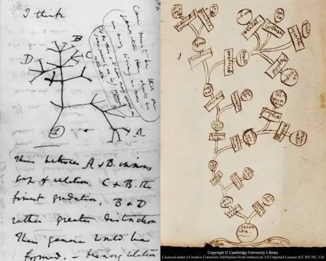 5分钟，让你彻底吃透那些被神化的思维导图！