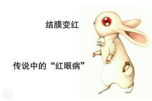 结膜炎症状和表现要注意什么,结膜炎的6大表现症状眼皮红肿