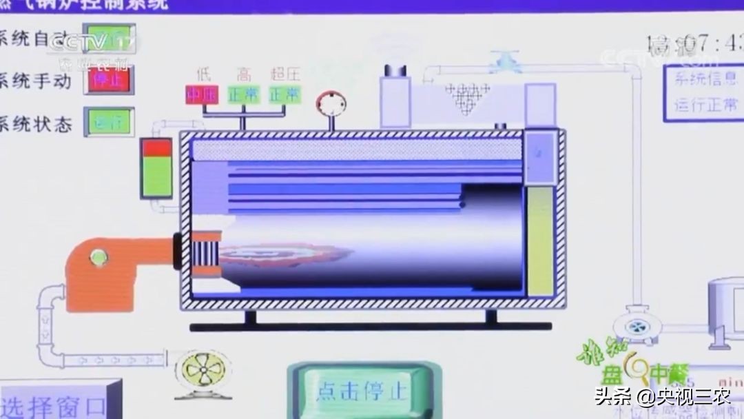 红糖补血吗可以经常喝吗,红糖真的可以补血吗