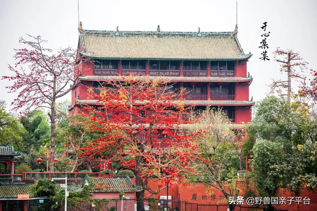 广州遛娃出游,广州遛娃3-4天攻略