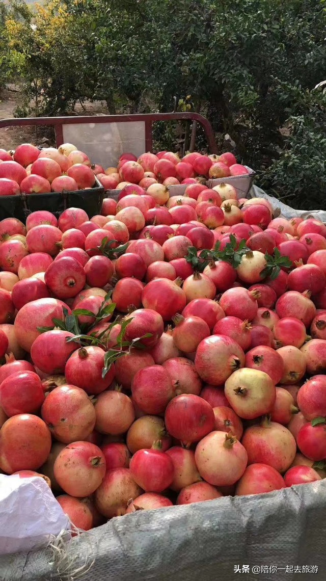 蚌埠土特产展销会,蚌埠土特产市场在哪