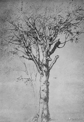 达芬奇画了两幅蒙娜丽莎,达芬奇画了几幅画