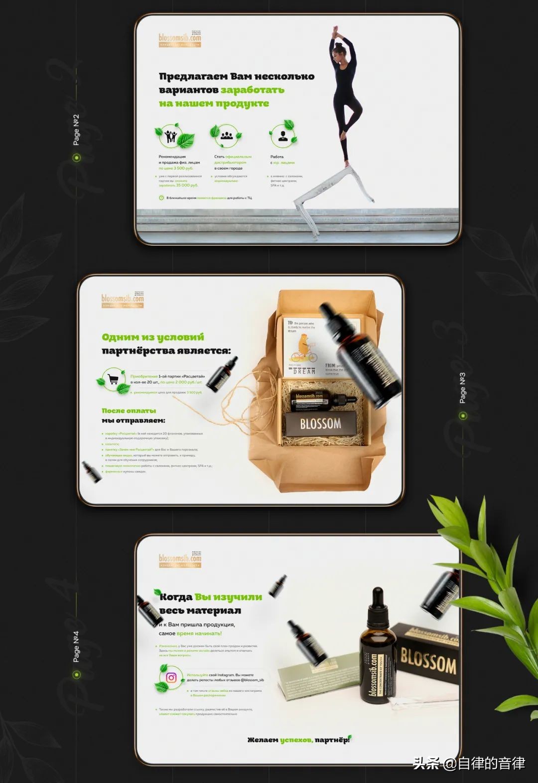 只要加些植物元素，你的PPT页面精致又有格调