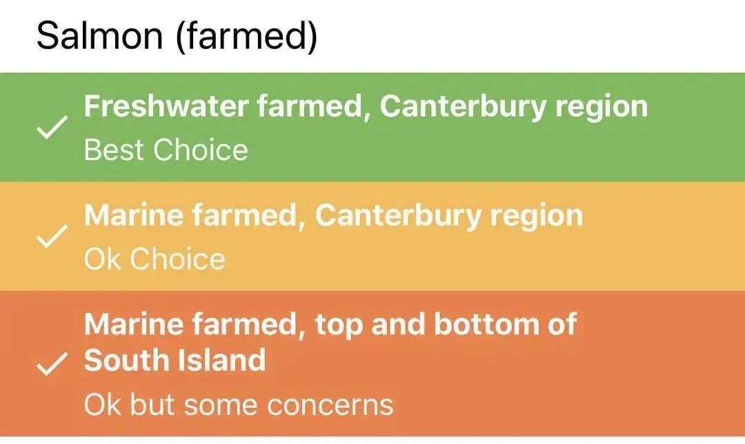 新西兰最有名三文鱼,新西兰帝王鲑三文鱼视频