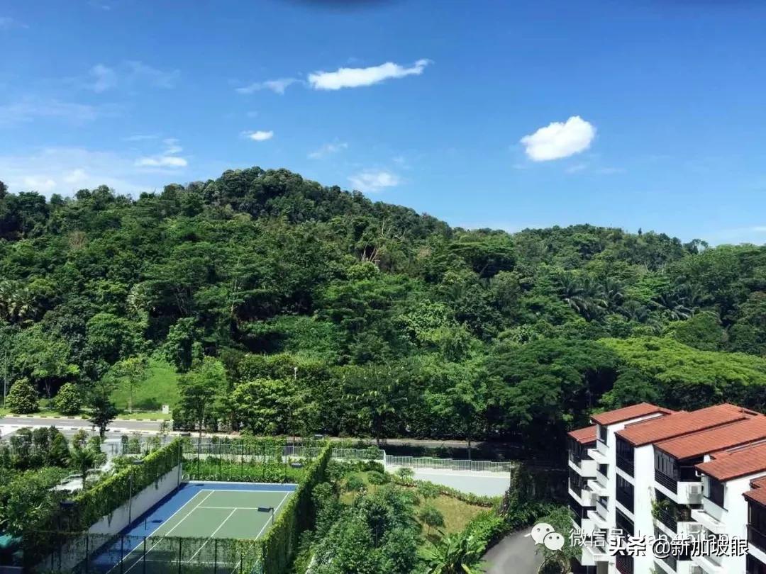 最新新加坡最便宜的租房,新加坡科廷附近出租两室一厅