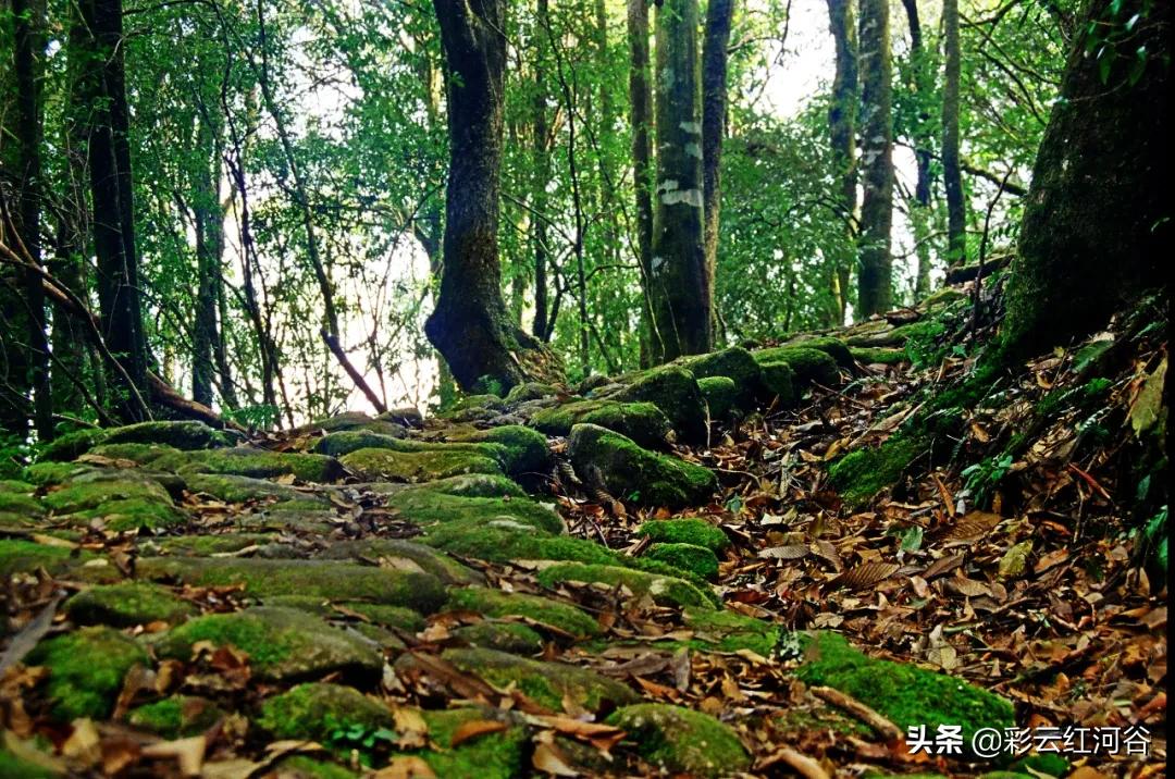 中国云南哪里好看,云南的云彩为什么好看