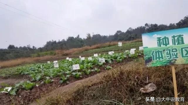 师陶圣地,育才摇篮,近七年数据深度剖析,祝中考学子乘风破浪