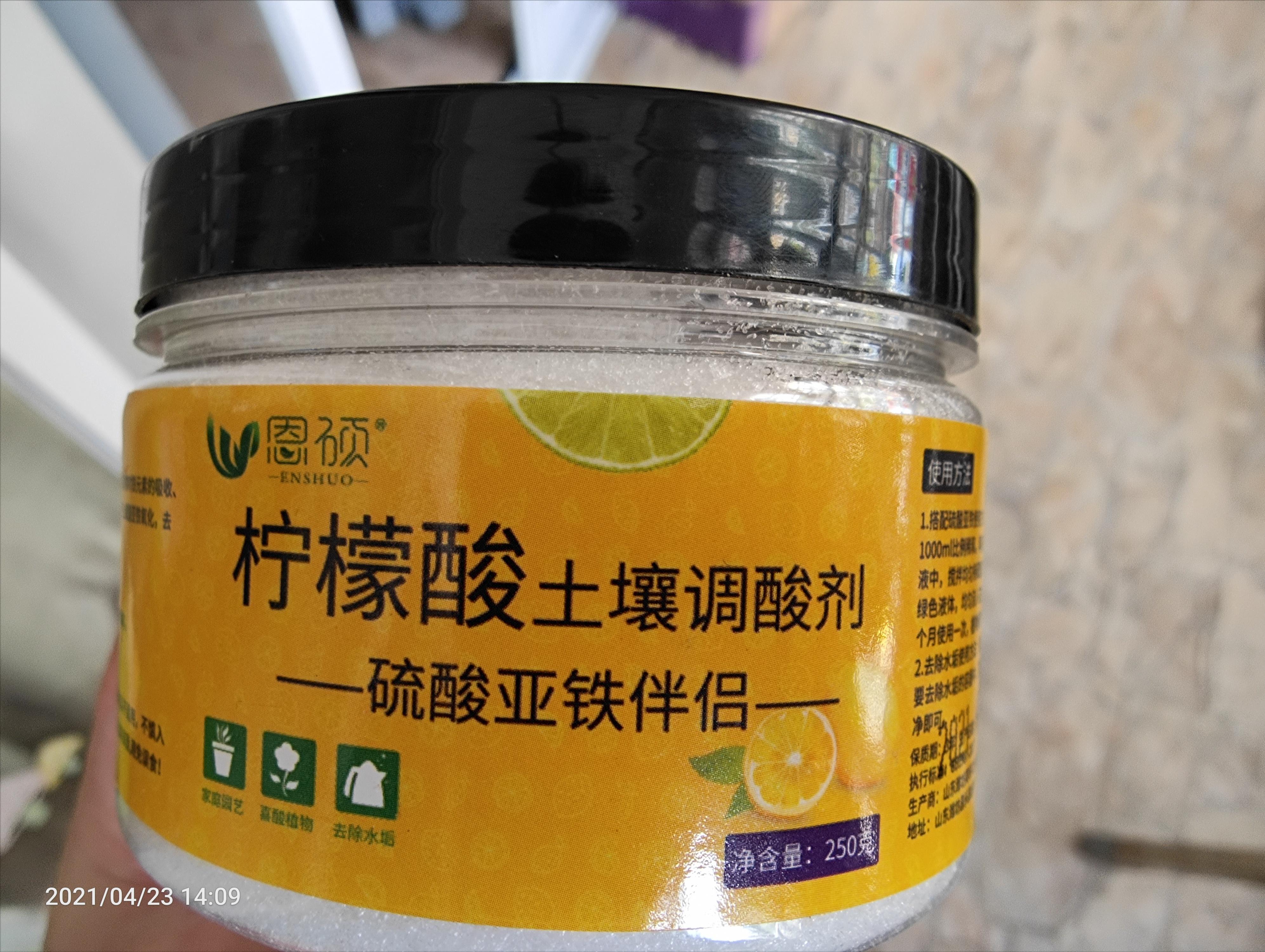 蓝莓花期浇水的最佳时间,蓝莓盆栽浇水的正确方法