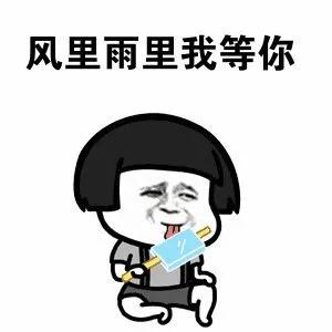 沈腾注册公司名,沈腾给海口起名