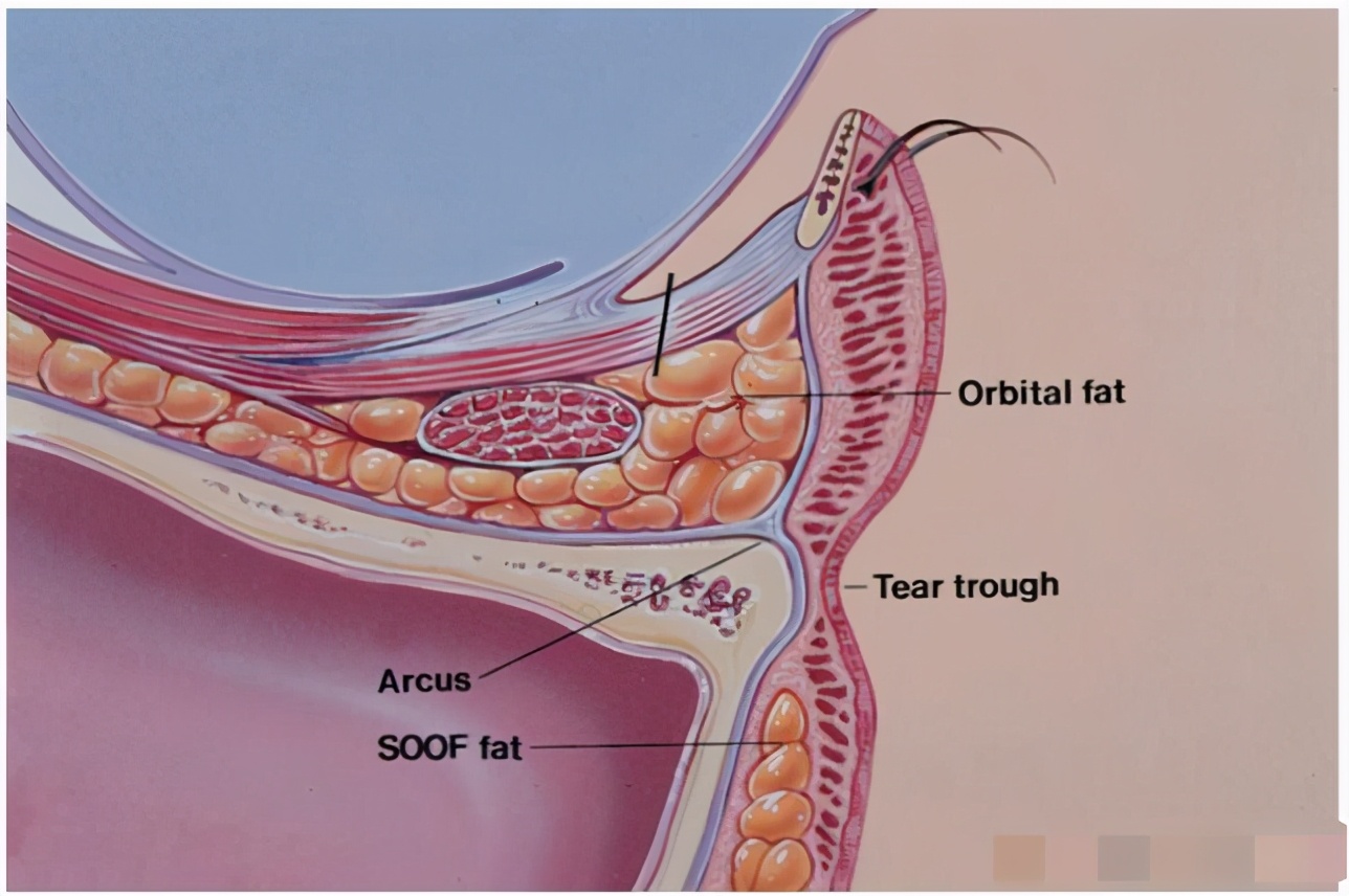 24岁女孩哭诉委屈下场完整版,24岁女孩哭诉委屈完整版