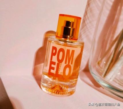 学生*党**“入门级”香水合集：伊丽莎白人气很高，但是它很“冷淡”