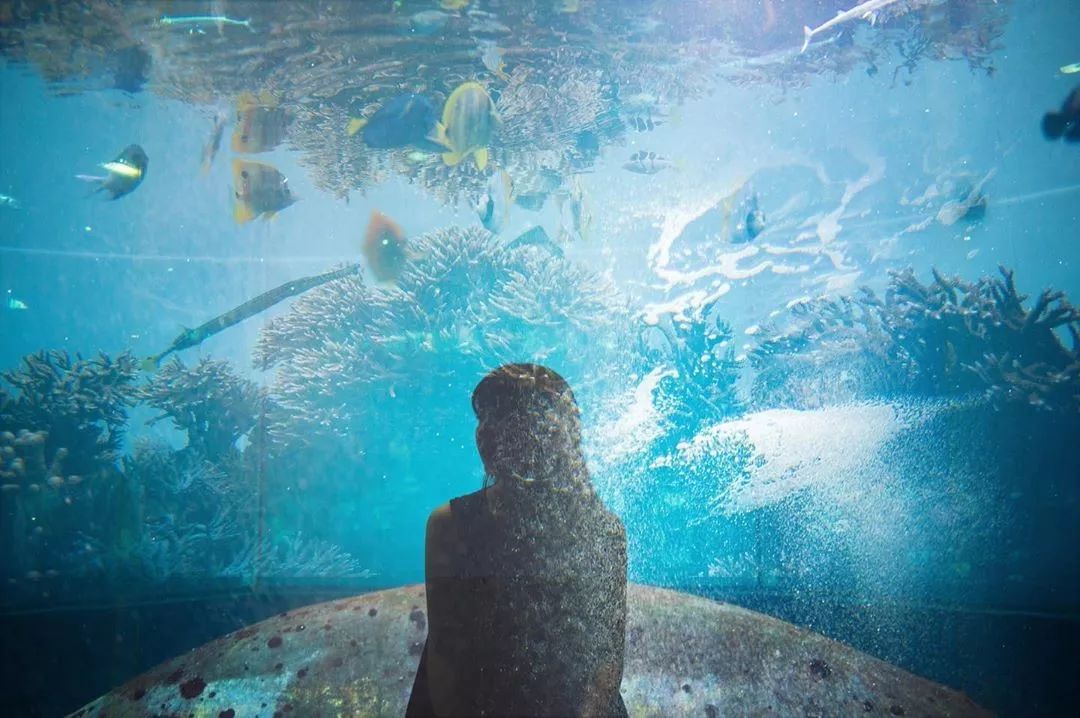 东京自由行攻略详细版,东京自由行全攻略