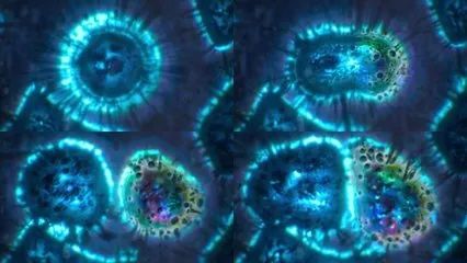 女性朋友身体囊肿、结节、肿瘤来自哪里？