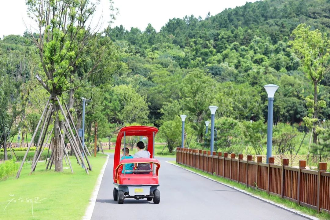 房车露营旅行推荐,自驾出游露营野炊房车营地