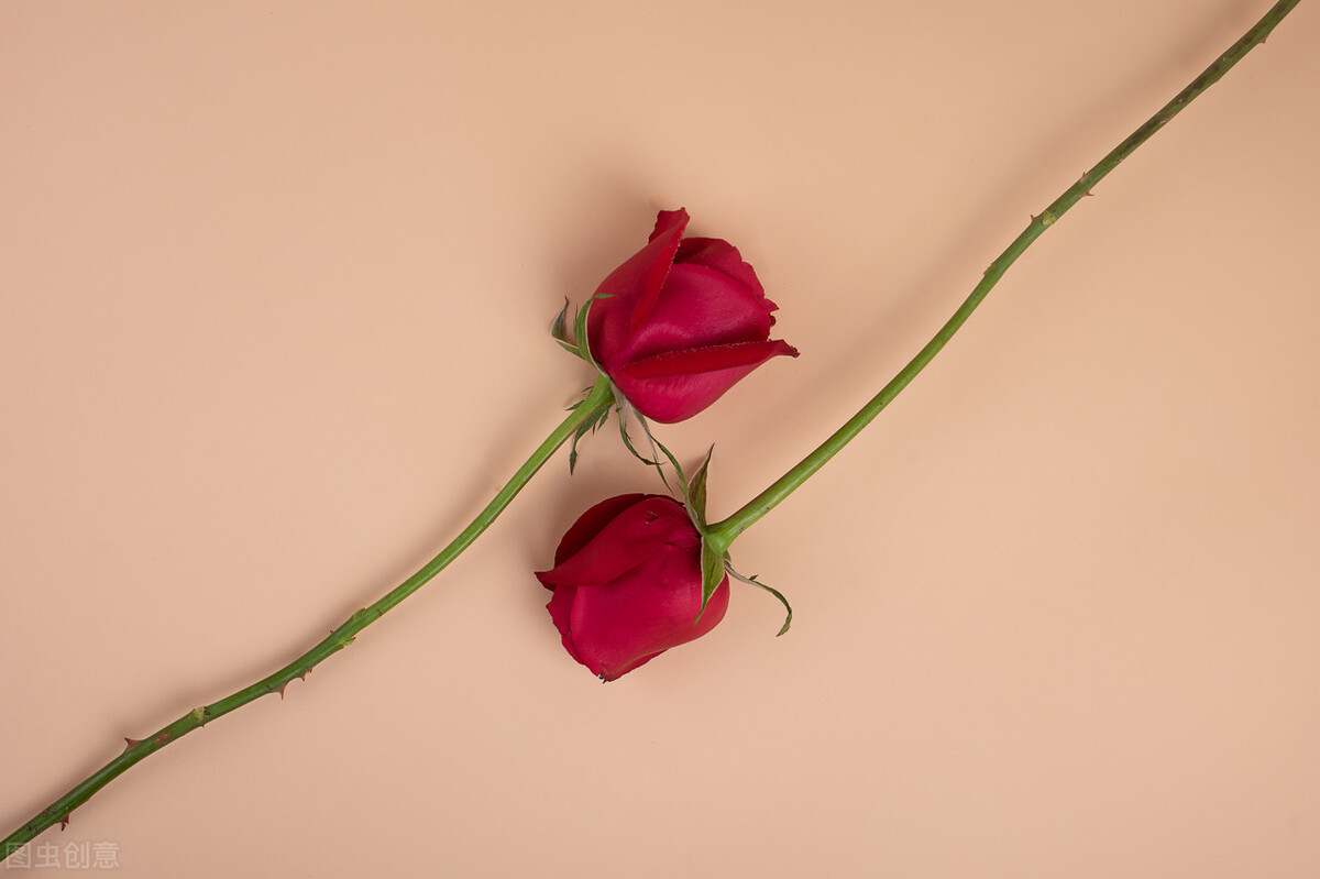 酒吧女老板需要什么心理素质,酒吧女老板性格