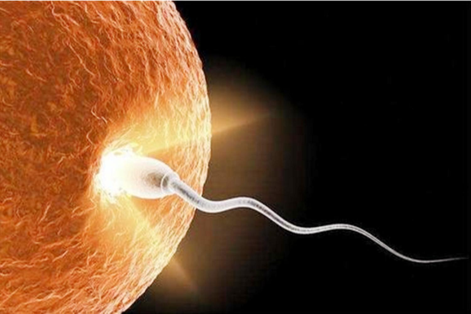 孕早期做b超怎么判断宝宝健康,早孕b超怎么看出胎儿的信息