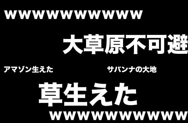 日本语草是什么意思,日本人说草的意思