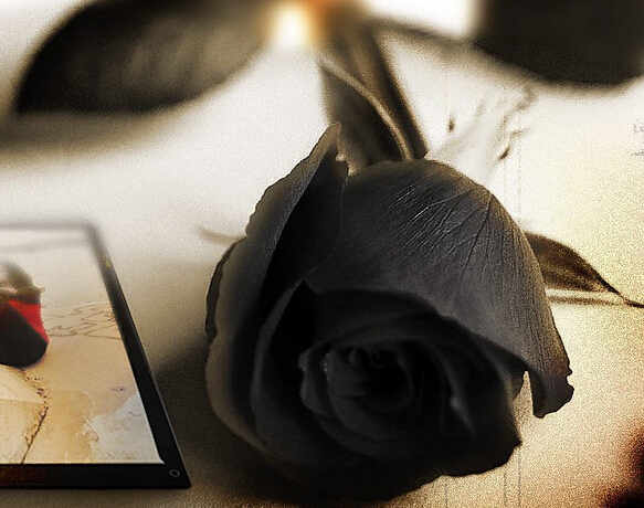 鏃ユ湰鎶よ偆鍝佽吹濡囧搧鐗宲ola (pola鏄吹濡囩骇鎶よ偆鍝佸悧)