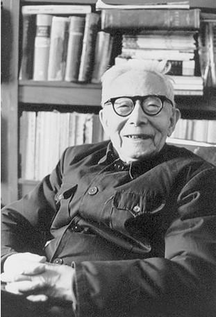 金克木用什么通关,金克木适合做什么