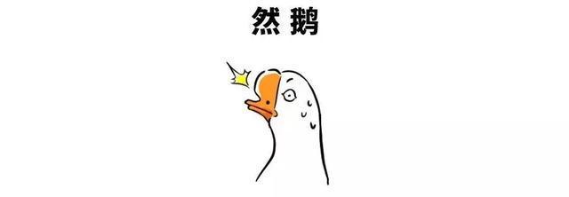 五分钟了解每个年轻人晚上都会干的这件事：今天，你熬夜了吗