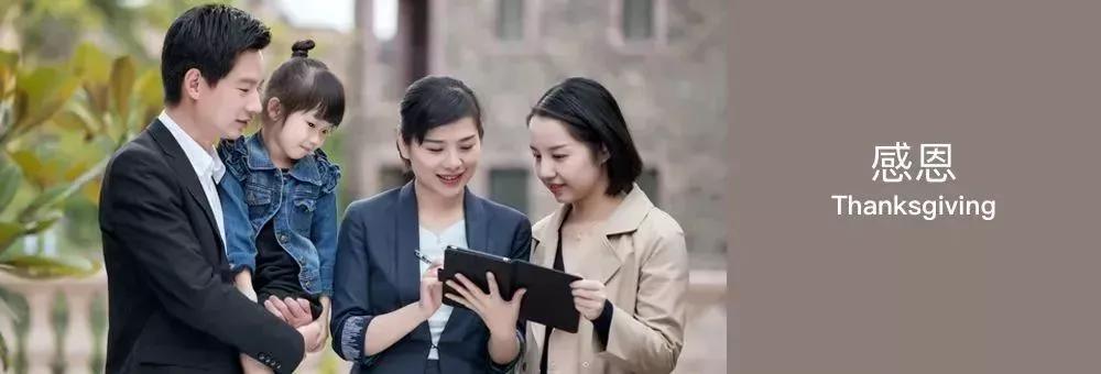 金辉物业50强排名,金辉物业未来前景