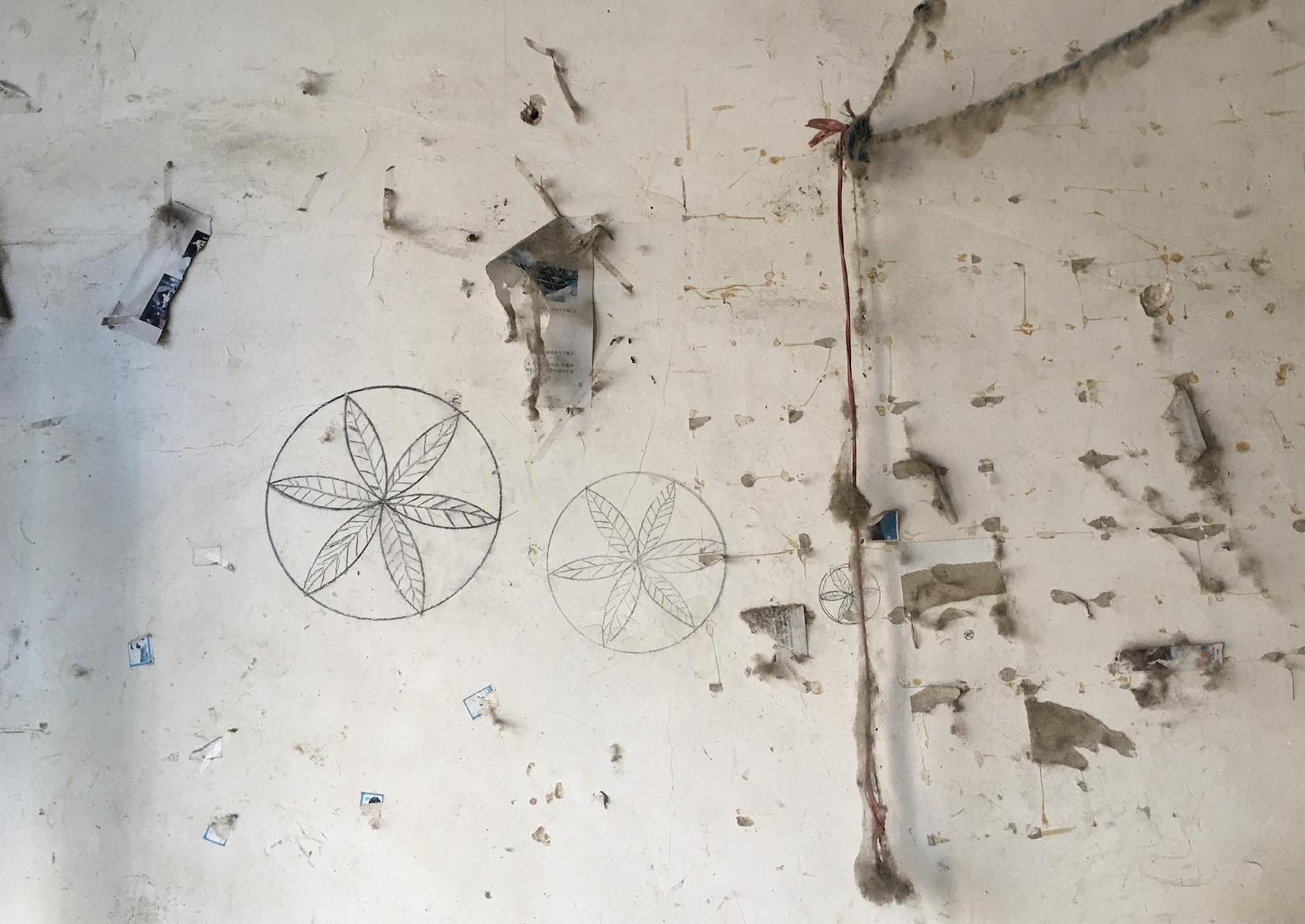 河南杀害堂妹案,河南省杀死学生一案