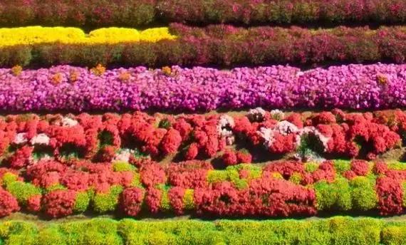 宝坻区乡村振兴实践,宝坻乡村振兴